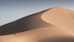 _DSC9262-Edit